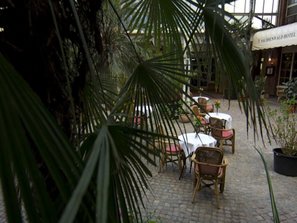 Sachsenwald Hotel Reinbek Ngoại thất bức ảnh